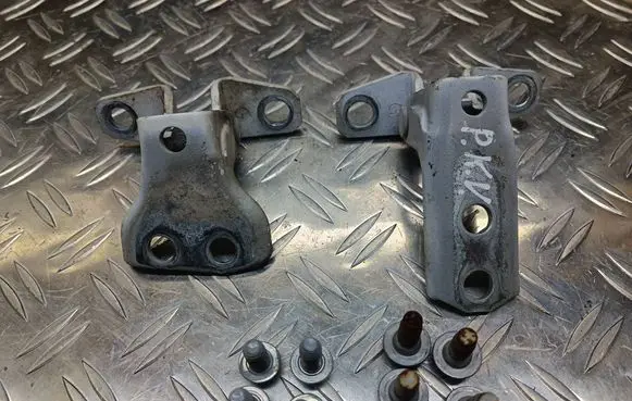 Citroen C-Zero Front door hinge set 
