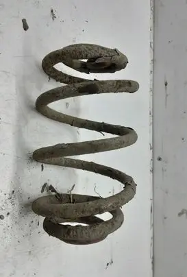 Skoda Superb B5 (3U) Rear coil spring