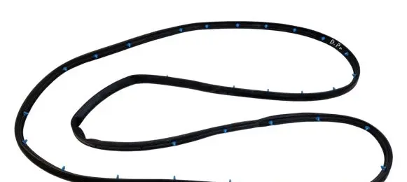 Ford Edge II Rubber seal front door (on door) DEK3DGAHYA 010440307