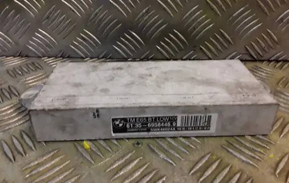 BMW 7 E65 E66 Door control unit/module 6958446