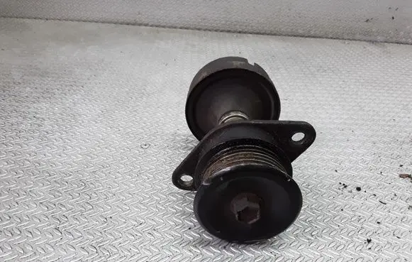 Ford Focus Alternator pulley TF10924