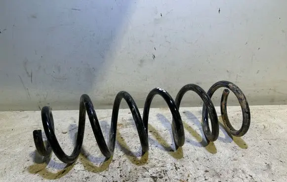 Nissan Qashqai Rear coil spring