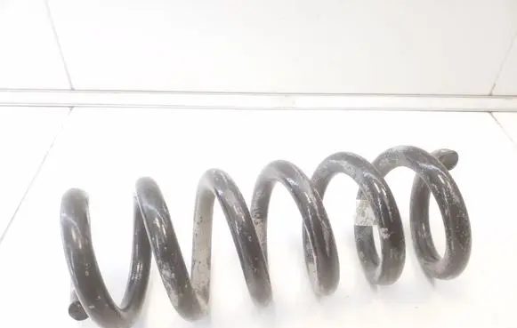 Ford Mustang Mach-E Rear coil spring LJ9C5560ANF