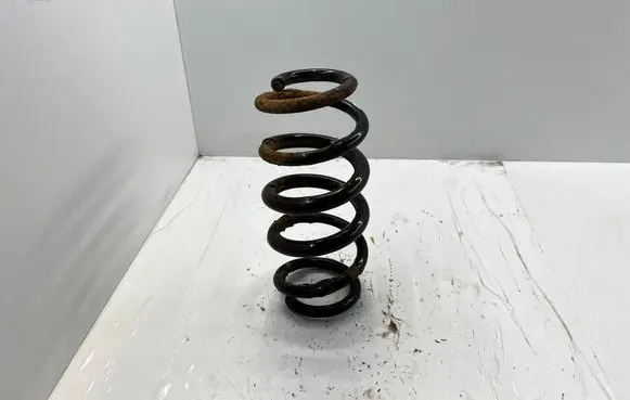 Toyota RAV 4 (XA30) Rear coil spring 