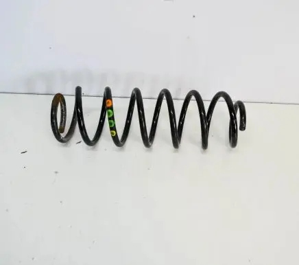 Rear coil spring
