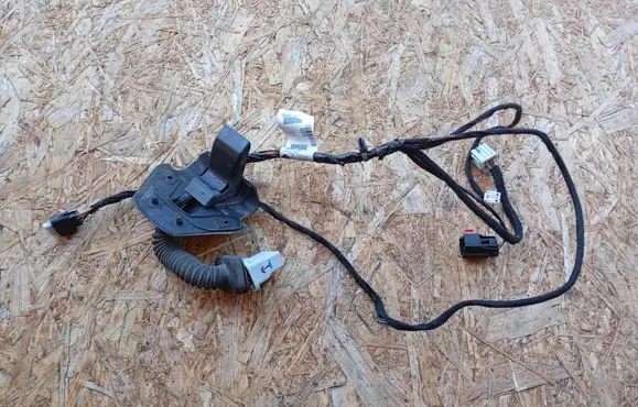 Rear door wiring loom