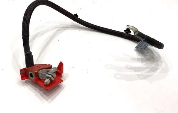 BMW X5 G05 Positive cable (battery) 8795483