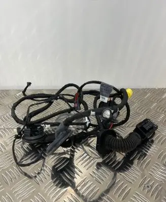 Audi Q5 SQ5 Front door wiring loom 8R0971029BA 28102011 TAB010766TR