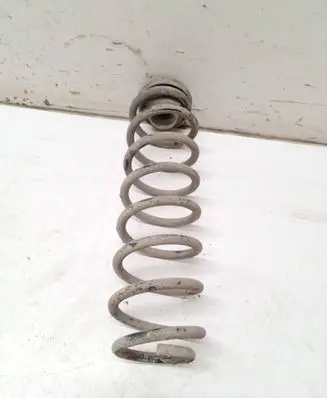 Rear coil spring