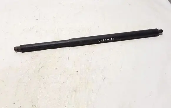 Tailgate strut