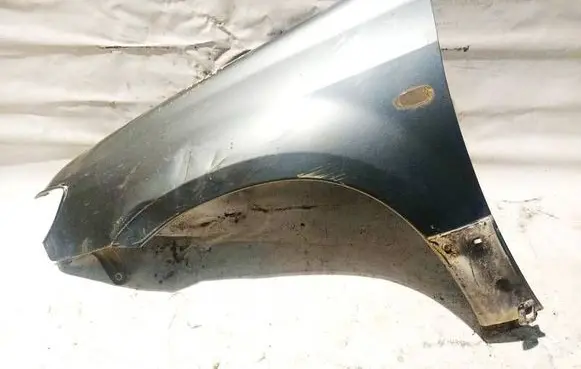 Fender