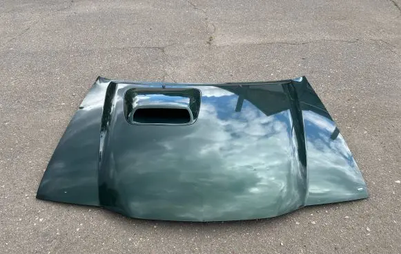 Nissan Terrano Engine bonnet/hood 651002X030