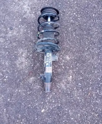 Citroen C4 Cactus Front shock absorber/damper 9810705180