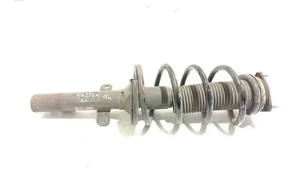 Front shock absorber with coil spring