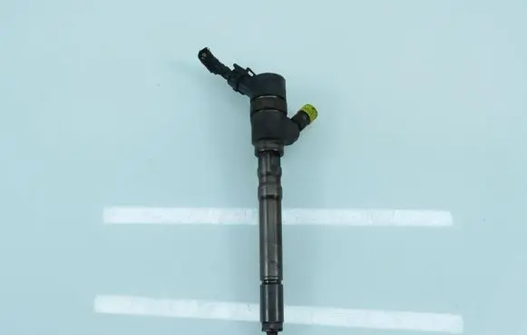 Hyundai Tucson JM Fuel injector 0445110126 3380027900