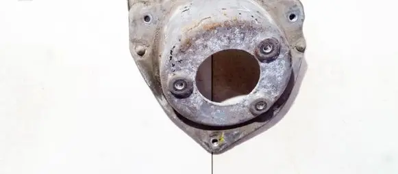 Coil spring mount