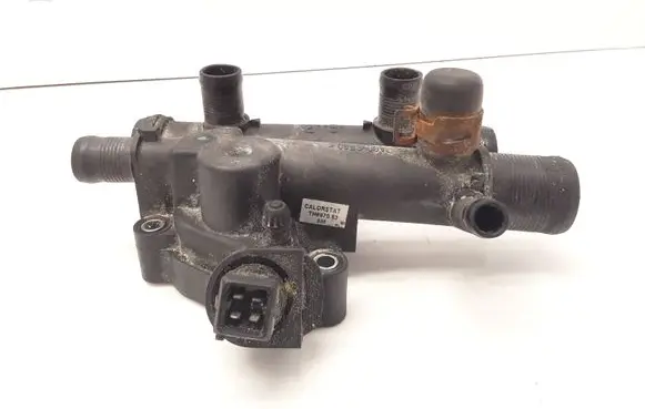 Thermostat/thermostat housing