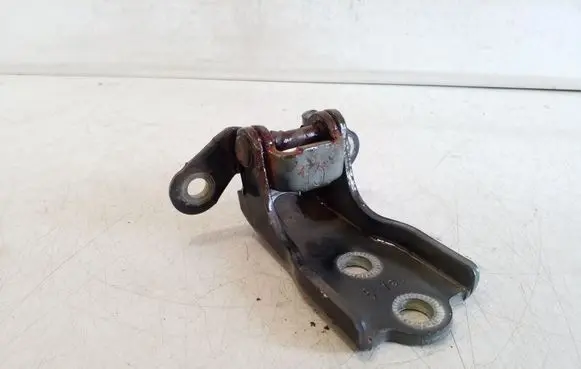 Chevrolet Captiva Front door lower hinge 