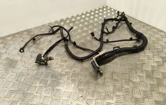 Citroen C4 Aircross Negative earth cable (battery) 8524A490 1865A189