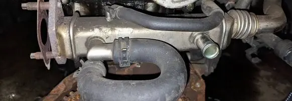 EGR valve cooler
