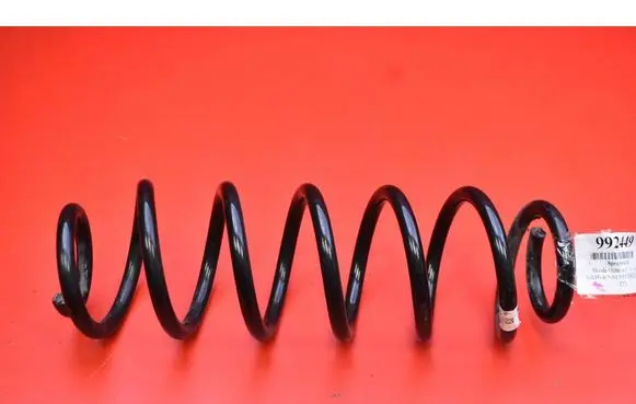 Rear coil spring