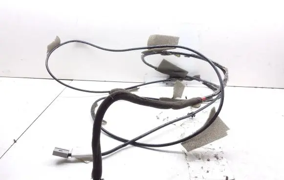 Other wiring loom