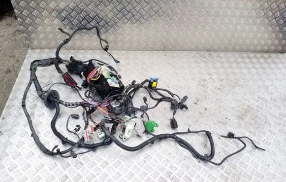 Ford Focus Other wiring loom DM5T14K733DEA