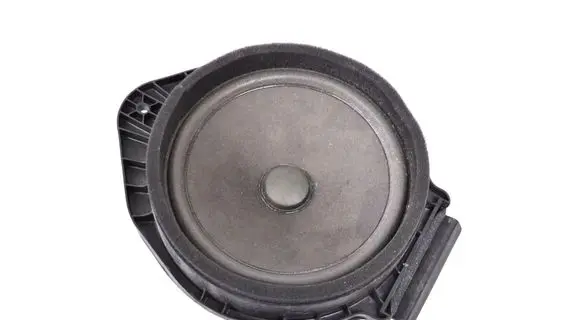 Chevrolet Trax Rear door speaker 22889819