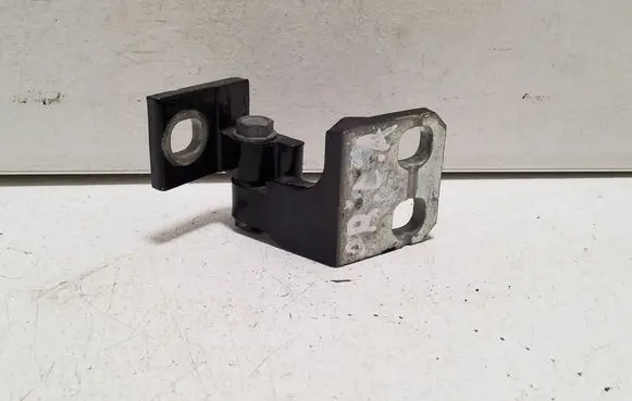 Fiat 500L Front door lower hinge 