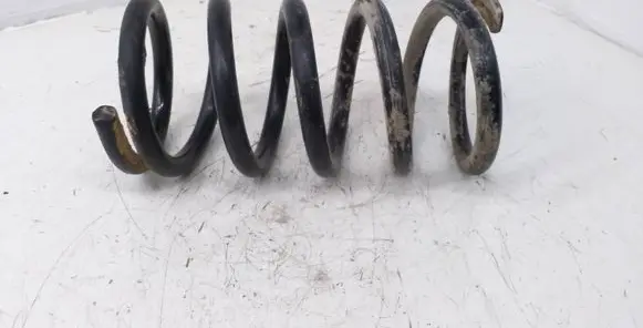 Mitsubishi Grandis Rear coil spring