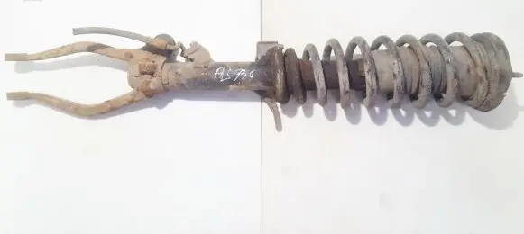 Front coil spring