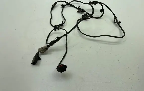 Other wiring loom