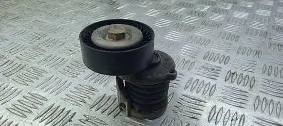 Volkswagen Crafter Alternator belt tensioner 038903315AN