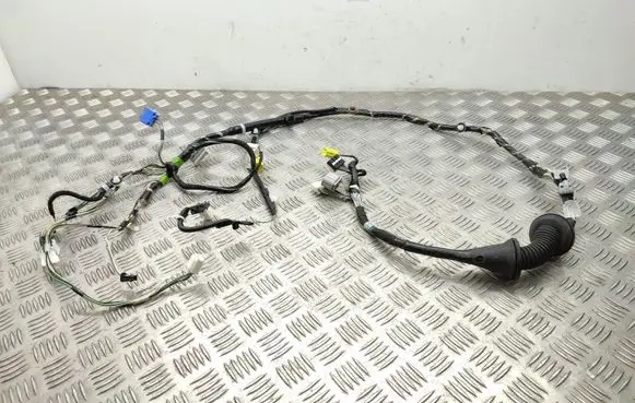 Front door wiring loom