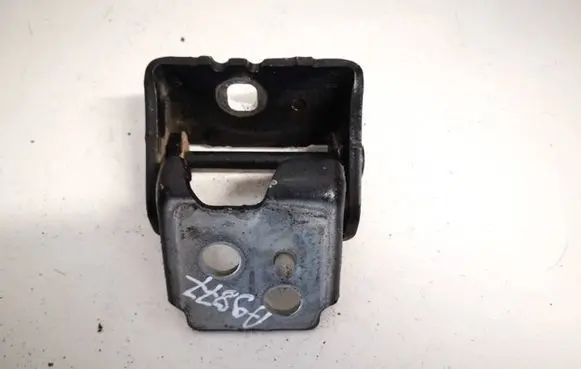 Citroen C5 Rear door lower hinge