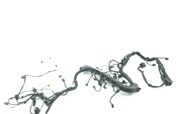 Engine installation wiring loom