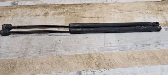 Tailgate/trunk strut/damper