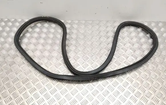 BMW iX Rear door rubber seal (on body) 8491451