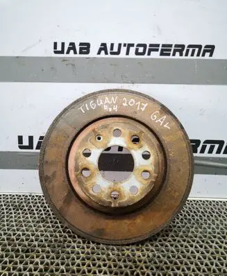 Volkswagen Tiguan Rear brake disc