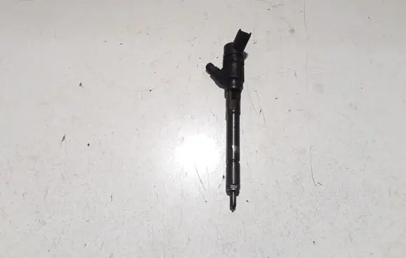 KIA Carens II Fuel injector 0445110258 3380027400
