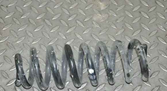 Rear coil spring