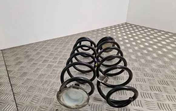 Rear coil spring