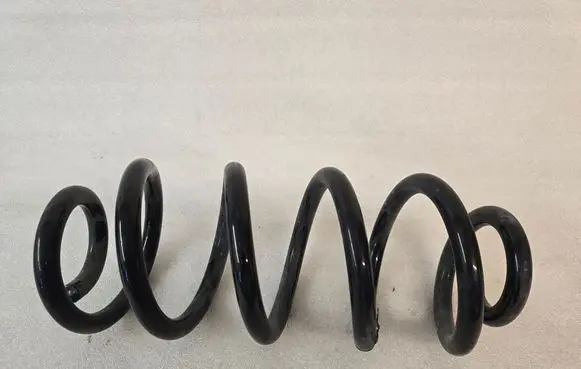 Rear coil spring