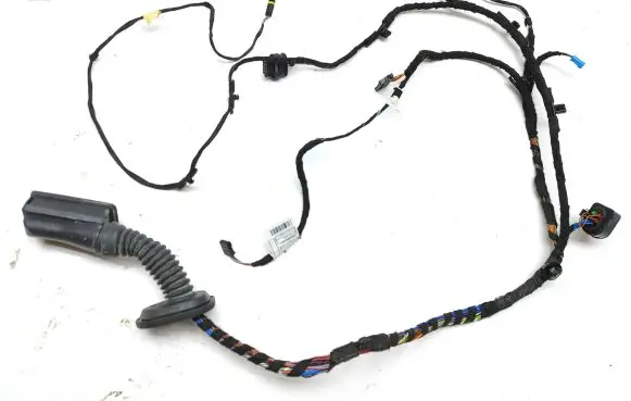 BMW X2 F39 Front door wiring loom 8795810 19344411