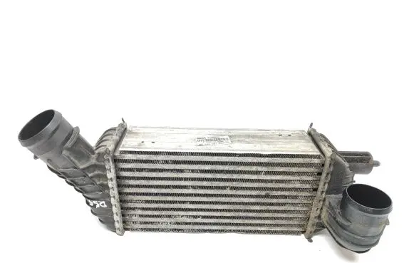 Citroen DS5 Intercooler radiator 9673015780 0006661 R1402004