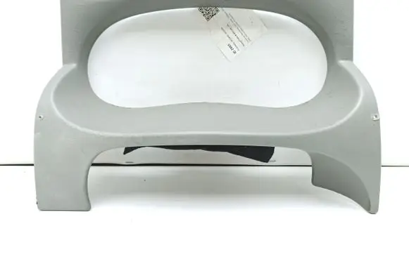 Renault Trafic II (X83) Dashboard trim 8200004607 91165855