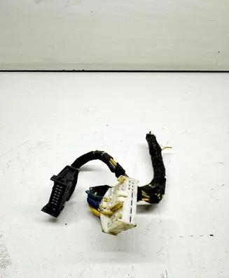 Other wiring loom