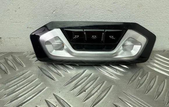 BMW 3 G20 G21 Rear seat light 791081301 060201490