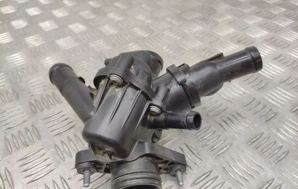 Thermostat/thermostat housing