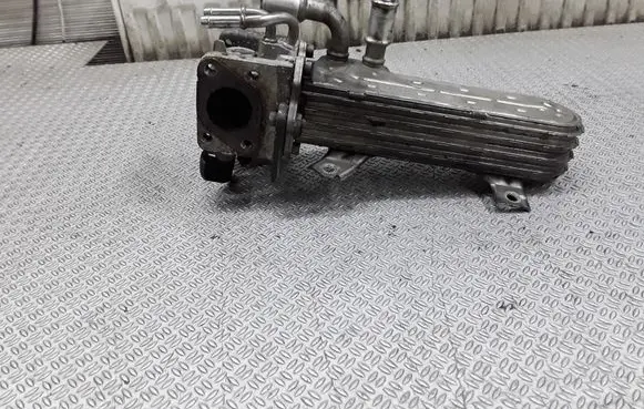 Volkswagen Jetta V EGR valve cooler 038131513AD